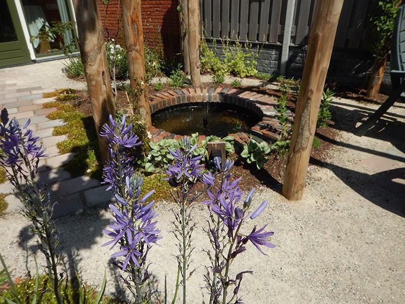 Biodiversiteit in de tuin