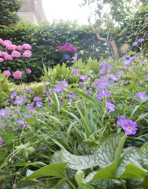 De levende tuin, Astrum tuin en groenprojecten