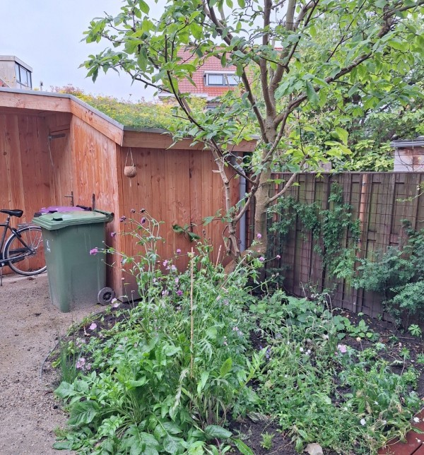 Kleine Stadstuin in Delft