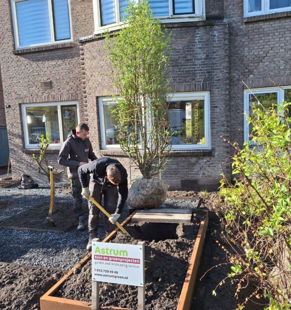 Stijlvolle voor- en zijtuin in Rotterdam Hillegersberg