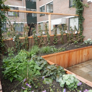 Verhoogde plantenborder Leiderdorp 3