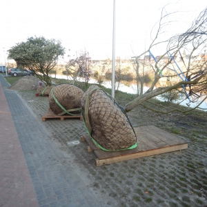 Levende tuin Pijnacker 1