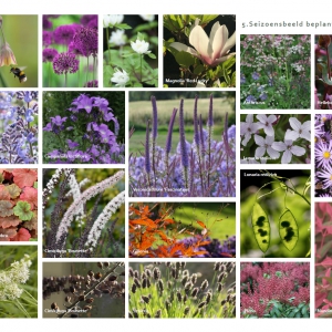 Levende tuin Pijnacker 25 Beplantingsplan Natuur Omarmd Bootanica
