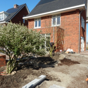 Levende tuin Pijnacker 4