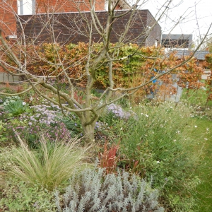 Levende tuin Pijnacker 8