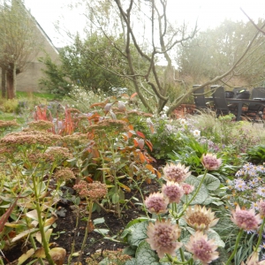 Levende tuin Pijnacker 9