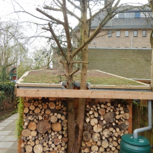 Klimaatbestendige tuin 18