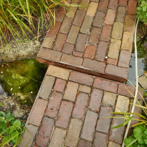 Klimaatbestendige tuin 27
