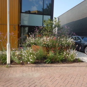 Cortenstaal rond 7