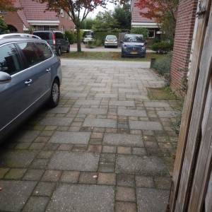 2 Regenwaterbestendige tuin 2