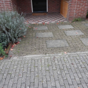 3 Regenwaterbestendige tuin 3