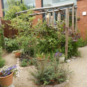 Natuurlijke tuin 5