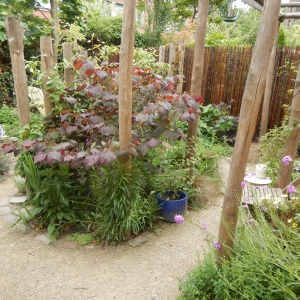 Natuurlijke tuin 6