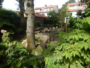Bostuin-Wassenaar-4