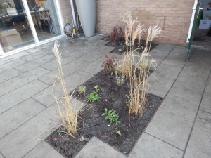 Tuinaanleg-Pijnacker-15
