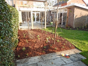 Tuinaanleg-Pijnacker-6