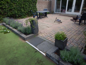 Tuinaanleg-Pijnacker-oude-situatie-2