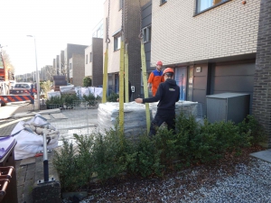 Tuinaanleg-Alphen-aan-den-Rijn-hijsen-1
