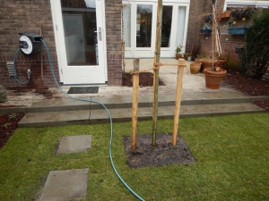 Kleine-tuin-hoogteverschil-3
