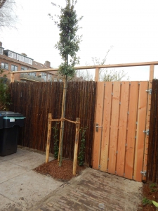 Tuinpoort-Douglas