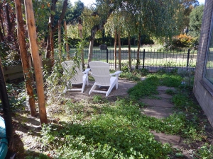 Natuurlijke-tuin-inheemse-beplanting-3
