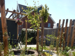 Natuurlijke-levende-tuin-Pijnacker-Nootdorp-klimaatbestendig-3