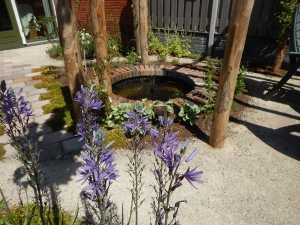 Natuurlijke-levende-tuin-Pijnacker-Nootdorp-klimaatbestendig-5