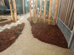 Natuurlijke-levende-tuin-Pijnacker-Nootdorp-klimaatbestendig-9