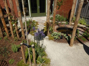 Natuurlijke-levende-tuin-Pijnacker-Nootdorp-klimaatbestendig