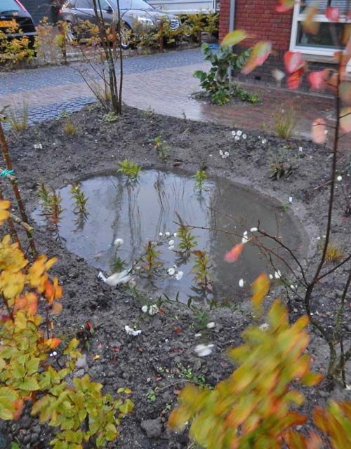 Klimaat Adaptieve Tuin