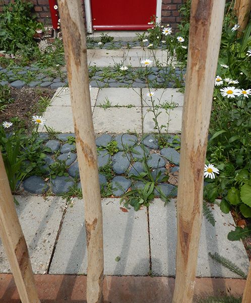 Waterpasserende verharding nodig? Astrum tuin en groenprojecten