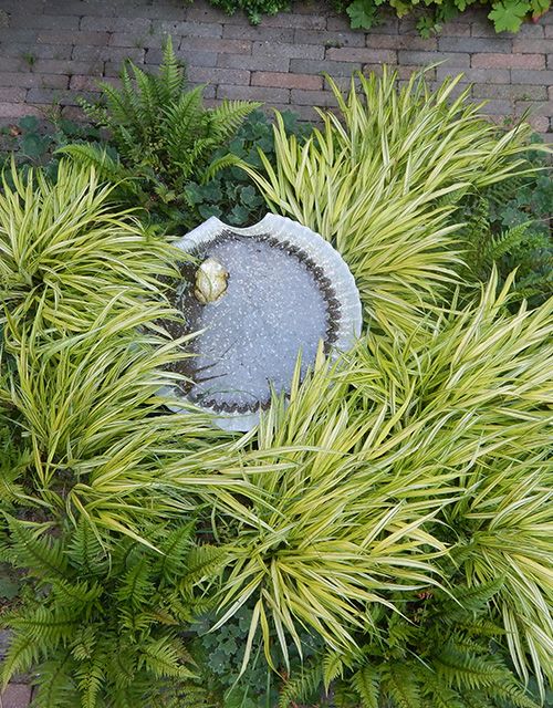 Groene Vakman nodig? Astrum tuin en groenprojecten