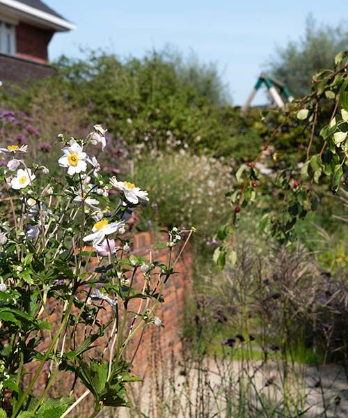 Groene Vakman nodig? Astrum tuin en groenprojecten